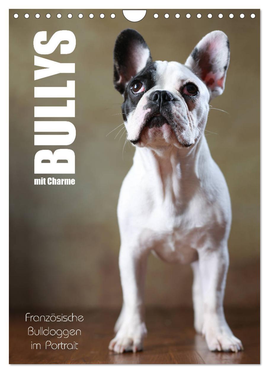 Cover: 9783457003756 | Bullys mit Charme - Französische Bulldoggen im Portrait...