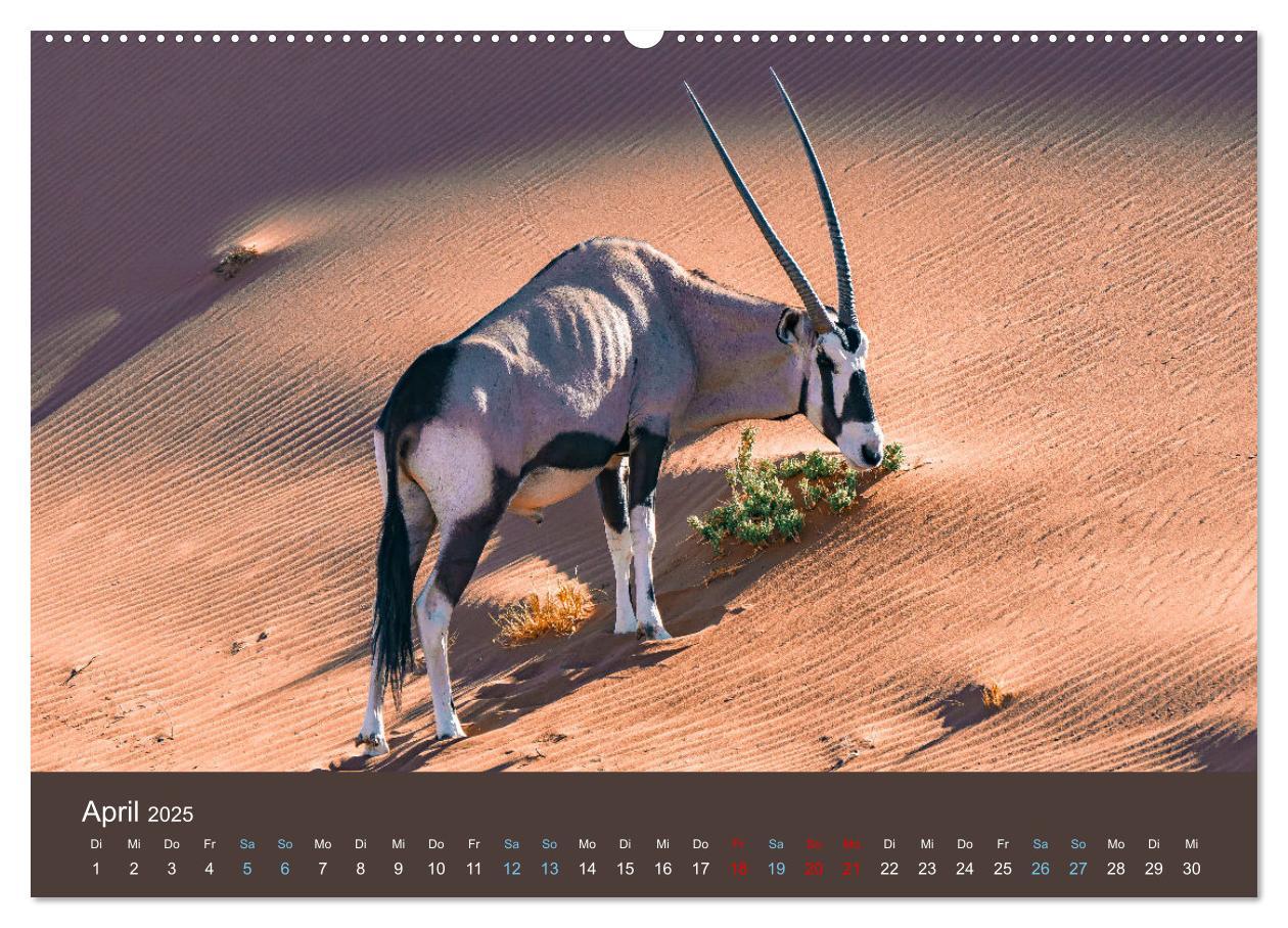 Bild: 9783383815836 | Wildes Leben - Ein Streifzug auf Zehenspitzen (Wandkalender 2025...