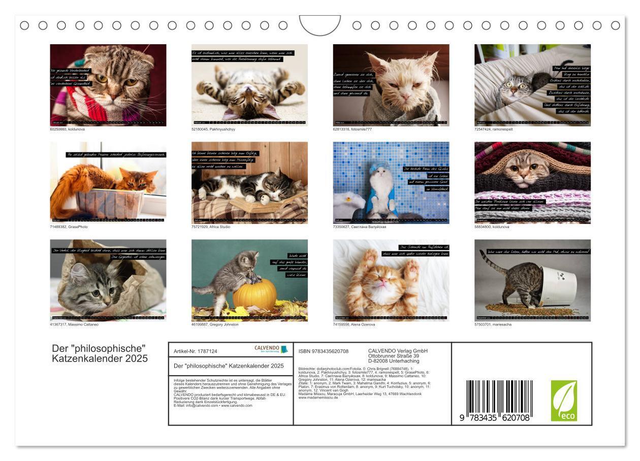 Bild: 9783435620708 | Der "philosophische" Katzenkalender 2025 (Wandkalender 2025 DIN A4...