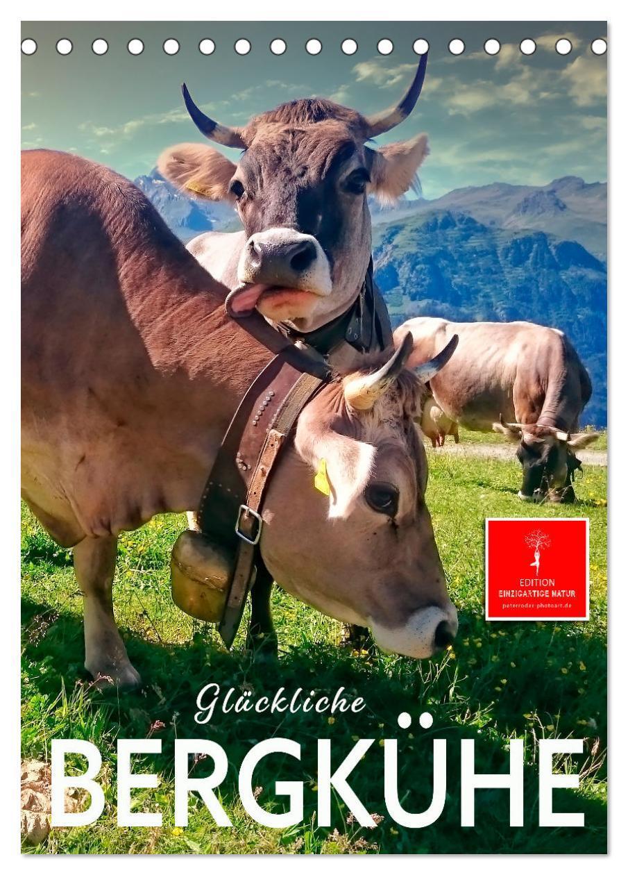 Cover: 9783435895526 | Glückliche Bergkühe (Tischkalender 2025 DIN A5 hoch), CALVENDO...