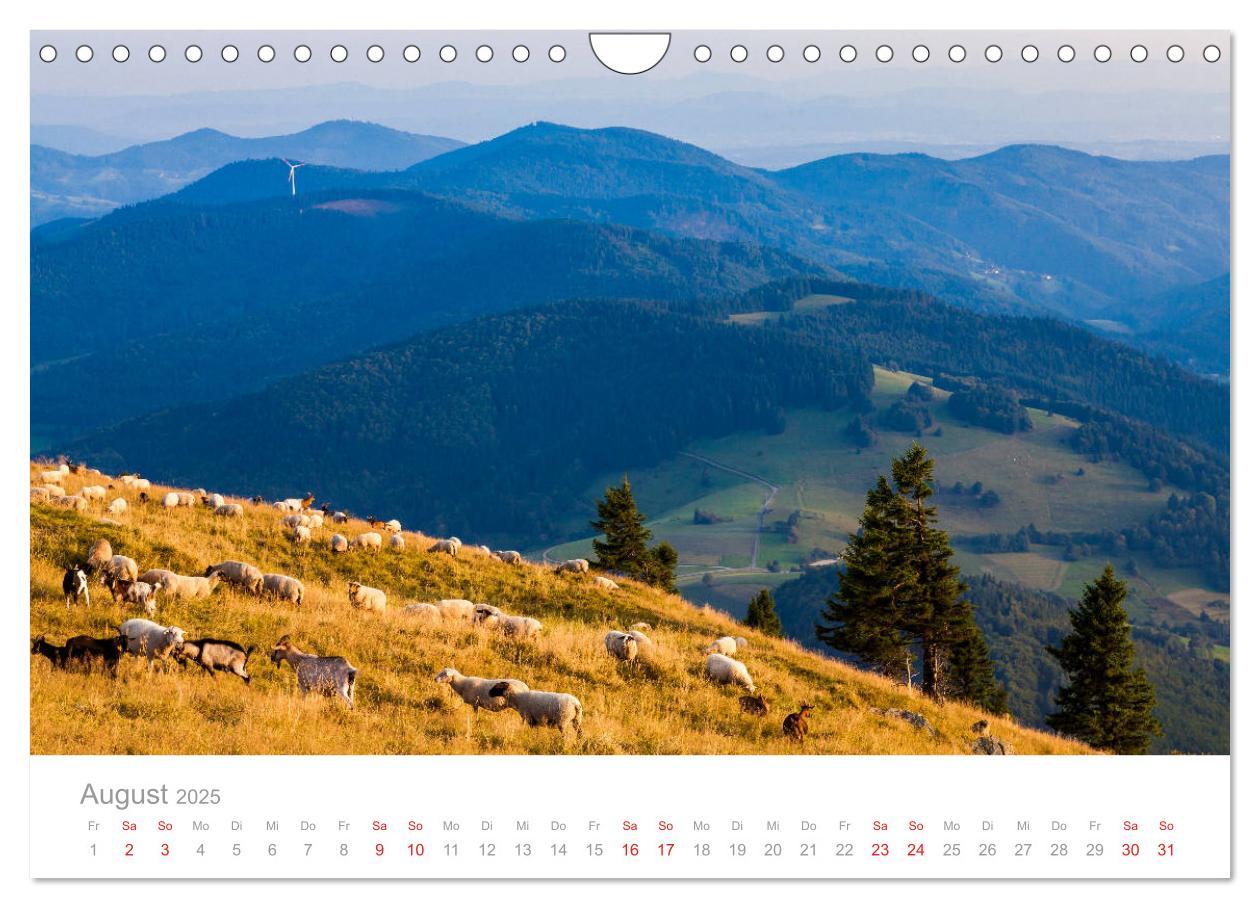 Bild: 9783435299607 | Der Schwarzwald Impressionen (Wandkalender 2025 DIN A4 quer),...