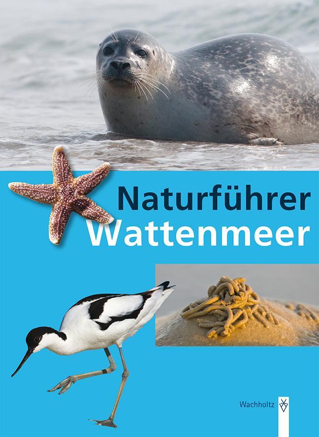 Cover: 9783529053528 | Naturführer Wattenmeer | Rainer Borcherding | Taschenbuch | 150 S.