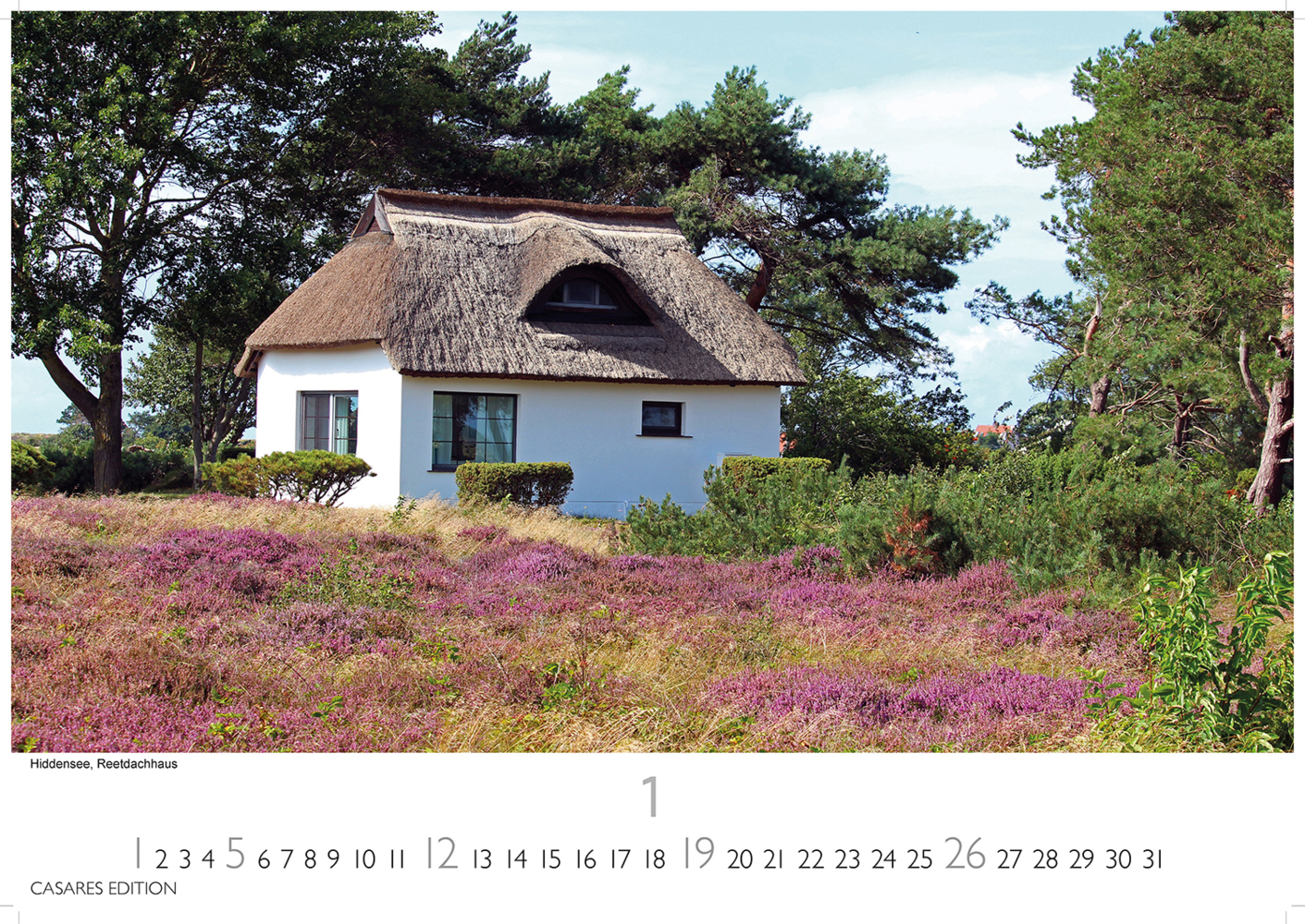 Bild: 9781835242902 | Rügen 2025 L 35x50cm | Hiddensee | Kalender | 14 S. | Deutsch | 2025