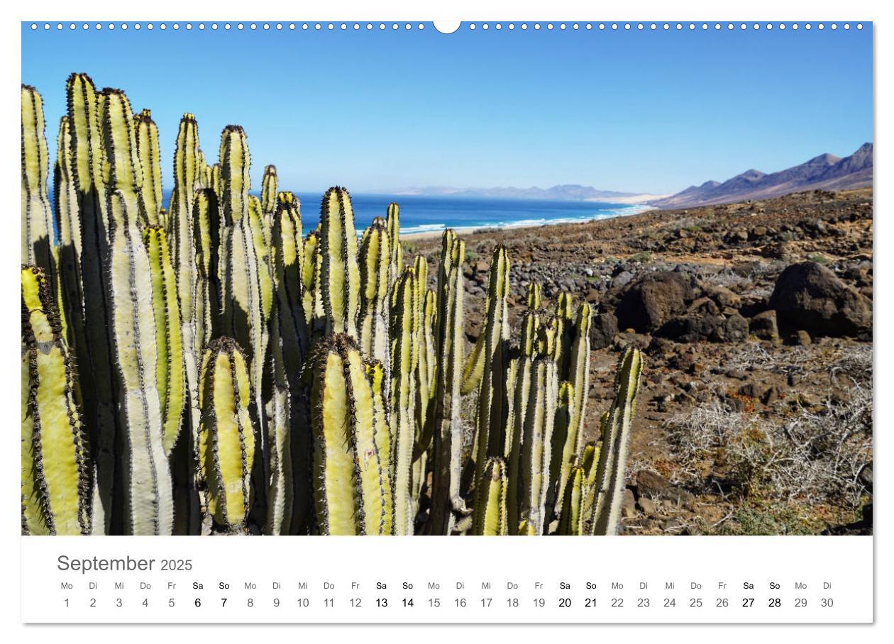 Bild: 9783435218042 | Fuerteventura - die Wüsteninsel der Kanaren (Wandkalender 2025 DIN...