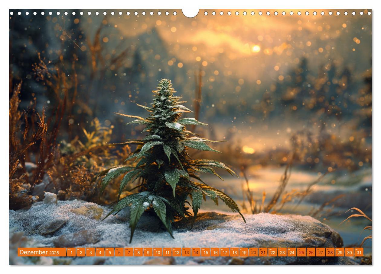 Bild: 9783383764714 | High Moments - Ein Jahr im Zeichen von Cannabis (Wandkalender 2025...