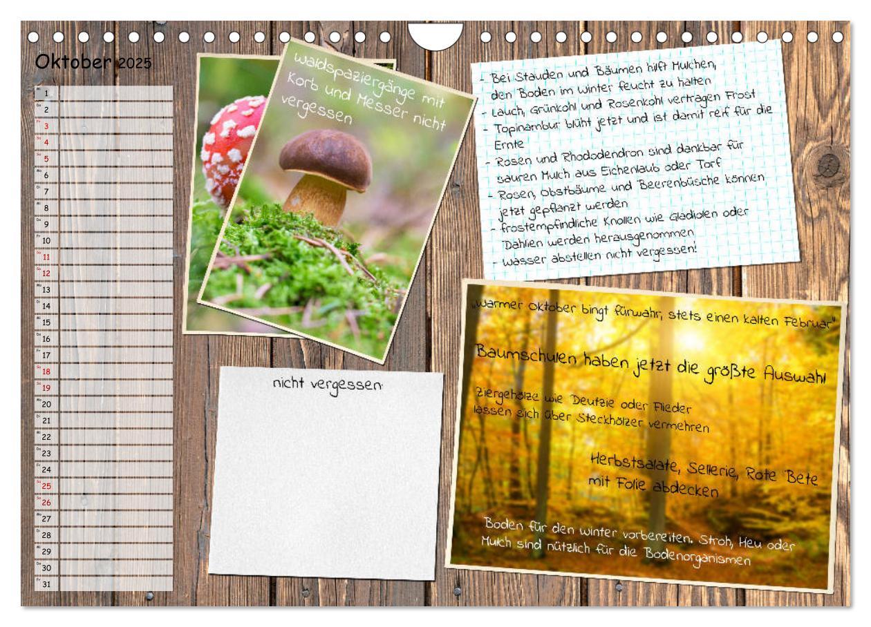 Bild: 9783435133116 | Was ist noch im Garten zu tun? (Wandkalender 2025 DIN A4 quer),...