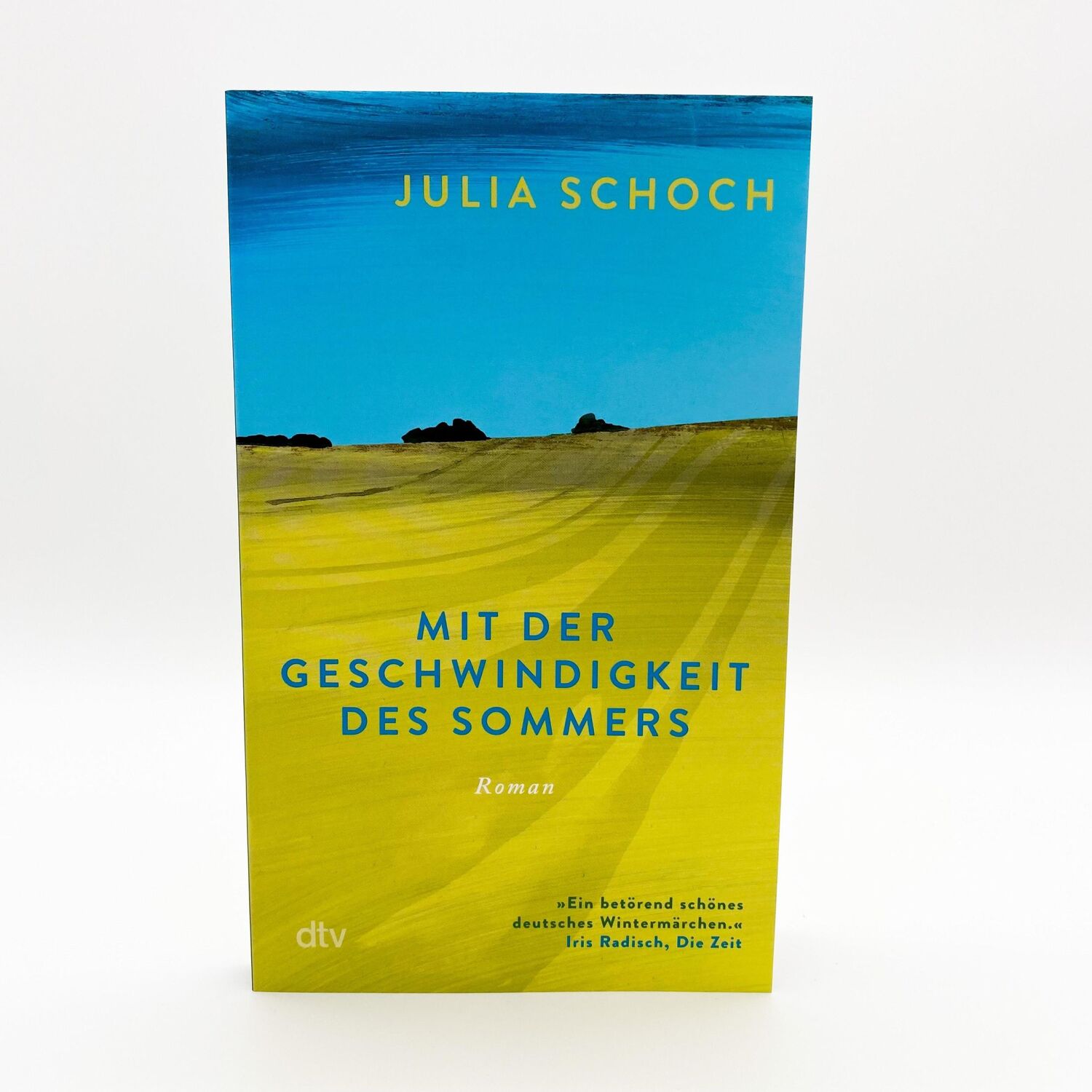 Bild: 9783423148511 | Mit der Geschwindigkeit des Sommers | Julia Schoch | Taschenbuch