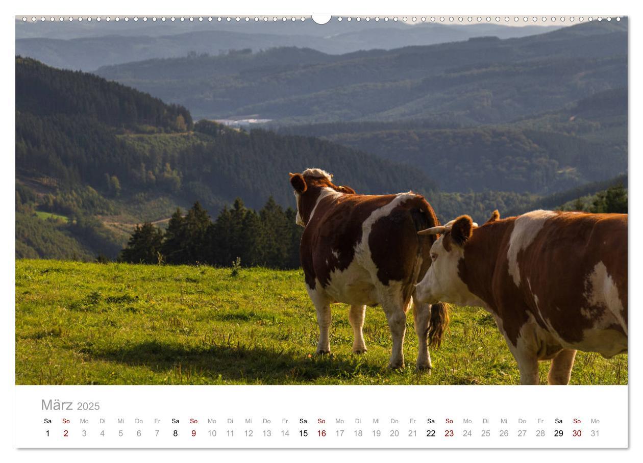 Bild: 9783435397242 | Schönes Sauerland (Wandkalender 2025 DIN A2 quer), CALVENDO...