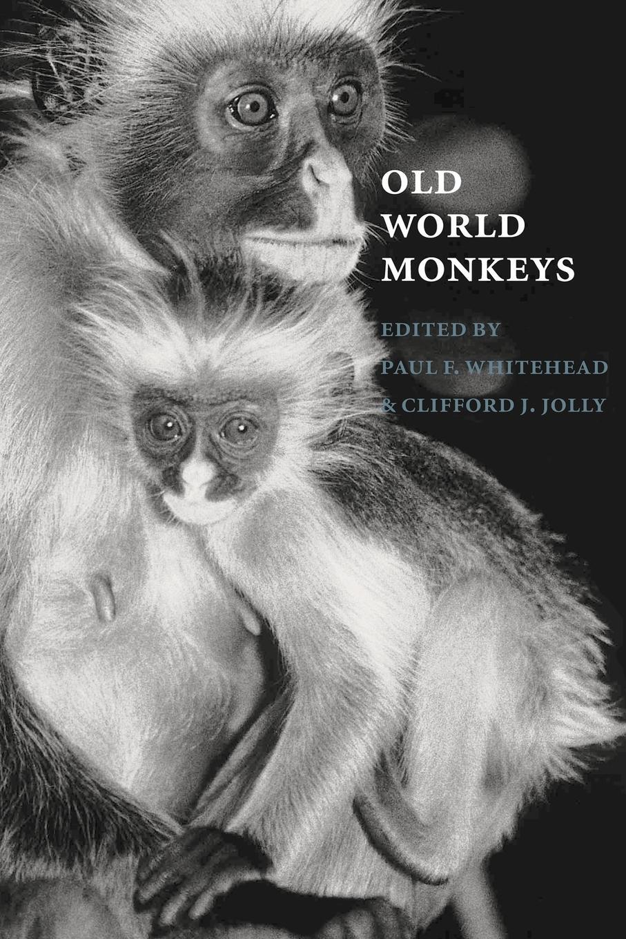 Cover: 9780521028097 | Old World Monkeys | Paul F. Whitehead | Taschenbuch | Paperback | 2006