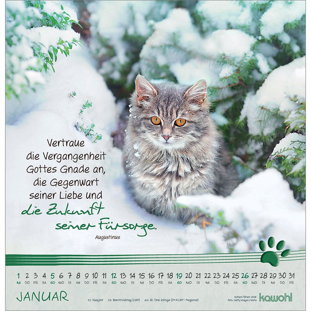 Bild: 9783754829851 | Kleine Katzen-Tatzen 2025 | Kalender | Spiralbindung. Spiralbindung