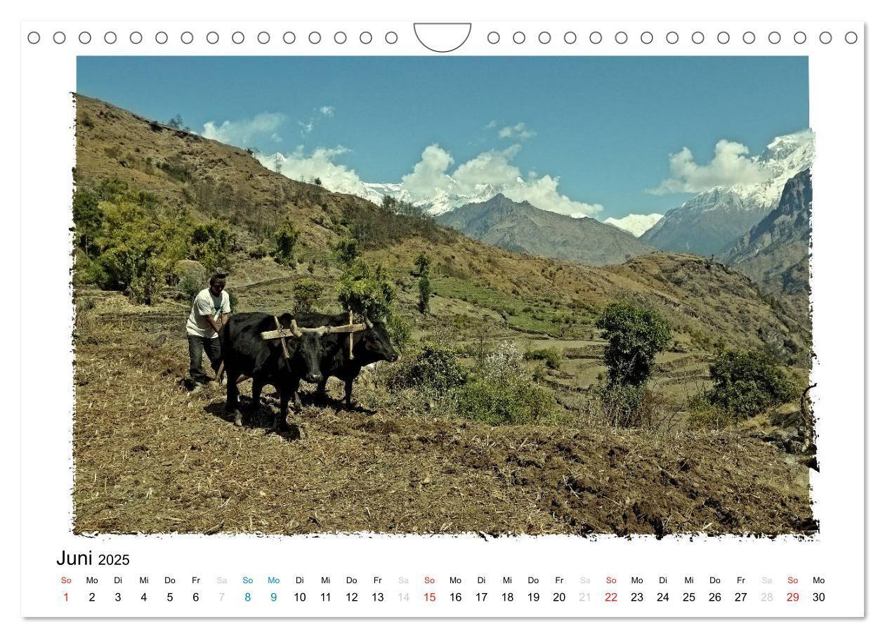 Bild: 9783435547111 | BEGEGNUNGEN IN NEPAL (Wandkalender 2025 DIN A4 quer), CALVENDO...