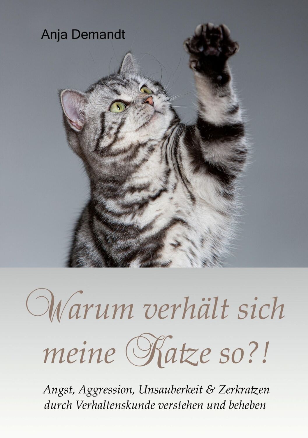 Cover: 9783759787507 | Warum verhält sich meine Katze so | Anja Demandt | Taschenbuch | 2024