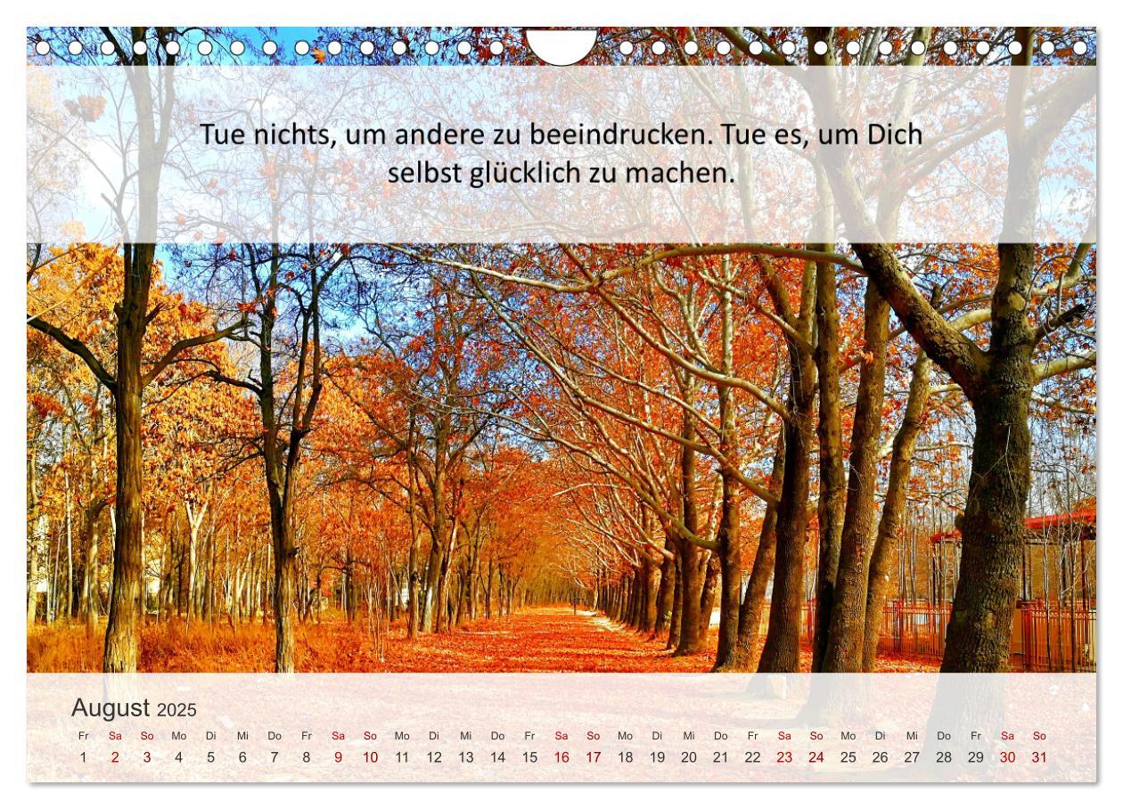 Bild: 9783435020232 | Motivationssprüche Erfolgsweg (Wandkalender 2025 DIN A4 quer),...