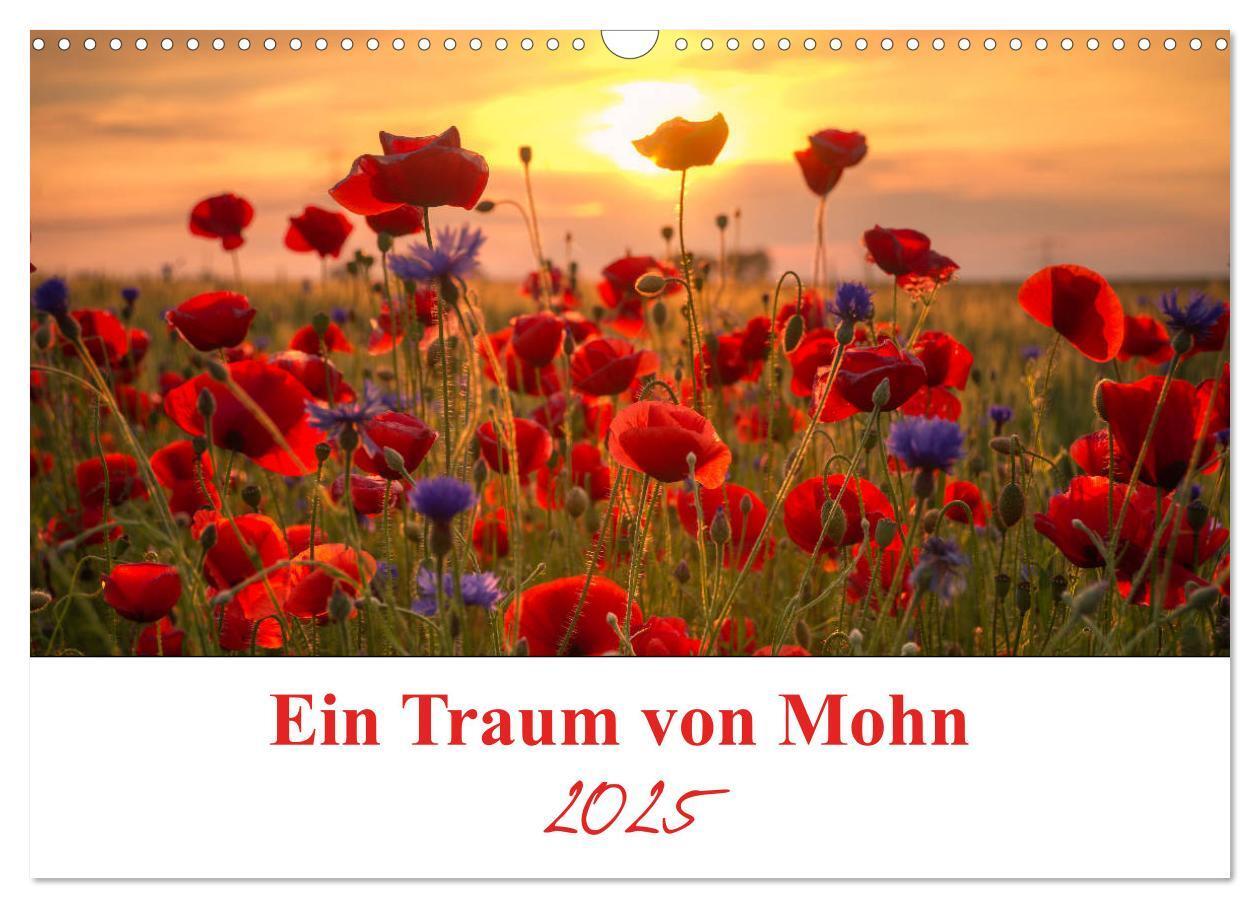 Cover: 9783435218288 | Ein Traum von Mohn (Wandkalender 2025 DIN A3 quer), CALVENDO...