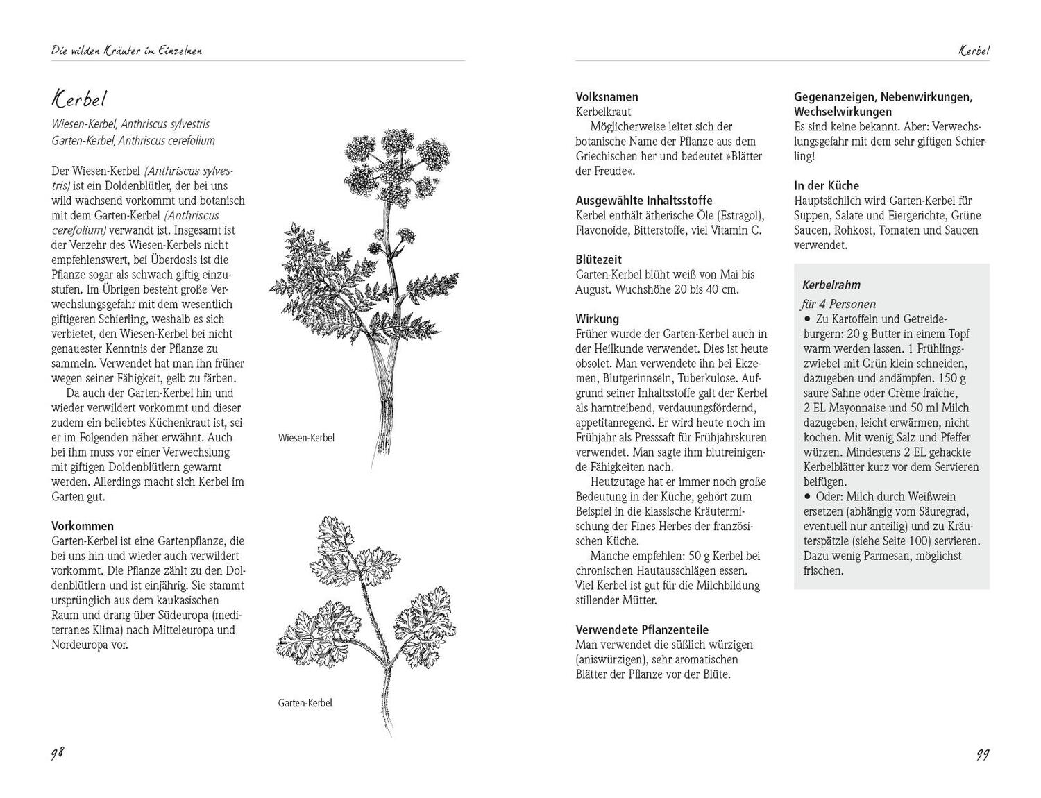 Bild: 9783895663161 | Aus dem Reich der wilden Kräuter | Christina Mann (u. a.) | Buch