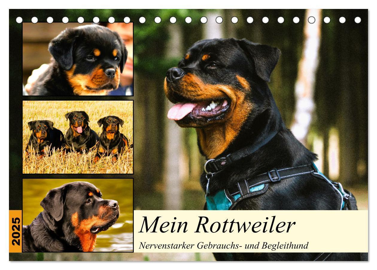 Cover: 9783383947391 | Mein Rottweiler. Nervenstarker Gebrauchs- und Begleithund...