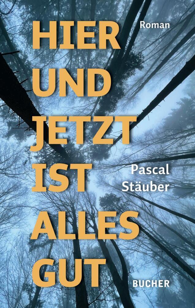 Cover: 9783990186831 | Hier und jetzt ist alles gut | Roman | Pascal Stäuber | Buch | CCCXLIV