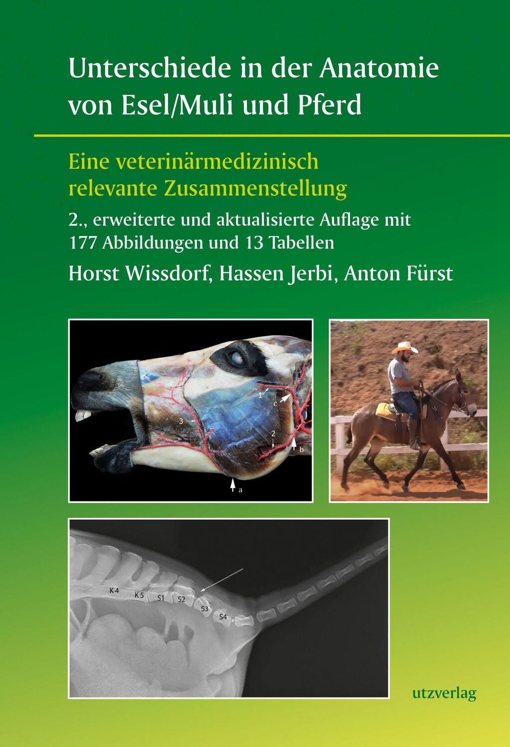 Cover: 9783831649372 | Unterschiede in der Anatomie von Esel/Muli und Pferd | Taschenbuch