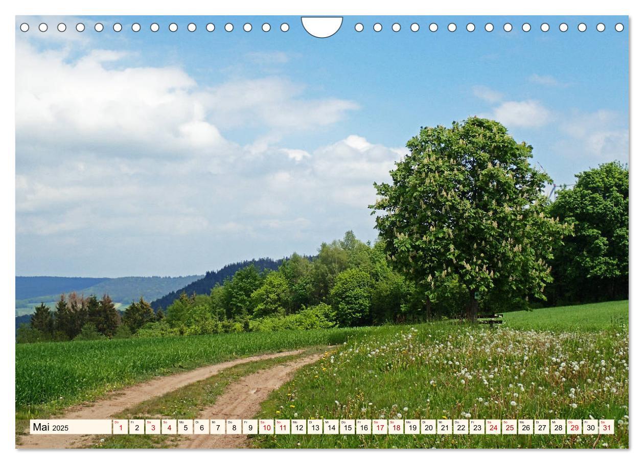 Bild: 9783435222698 | Viele Wege - ein Ziel Wandern im Odenwald (Wandkalender 2025 DIN A4...