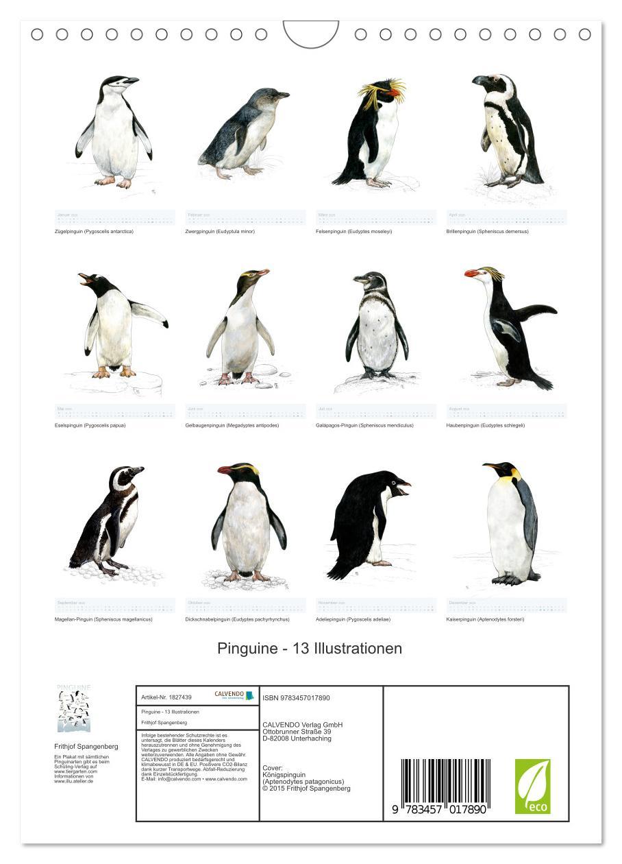 Bild: 9783457017890 | Pinguine - 13 Illustrationen (Wandkalender 2025 DIN A4 hoch),...