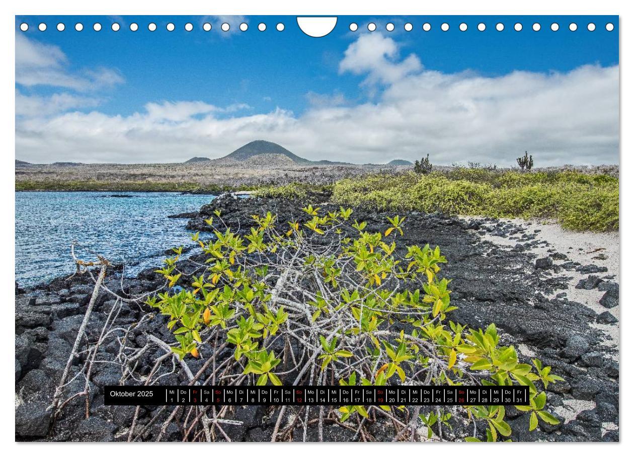 Bild: 9783435705900 | Galapagos- Landschaften (Wandkalender 2025 DIN A4 quer), CALVENDO...