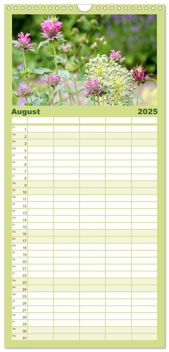 Bild: 9783457100844 | Familienplaner 2025 - Sanfte Natur mit 5 Spalten (Wandkalender, 21...