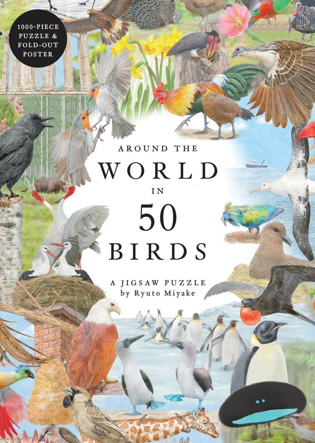 Cover: 9781399620024 | Around the World in 50 Birds 1000 Piece Puzzle | 1000 Piece Jigsaw