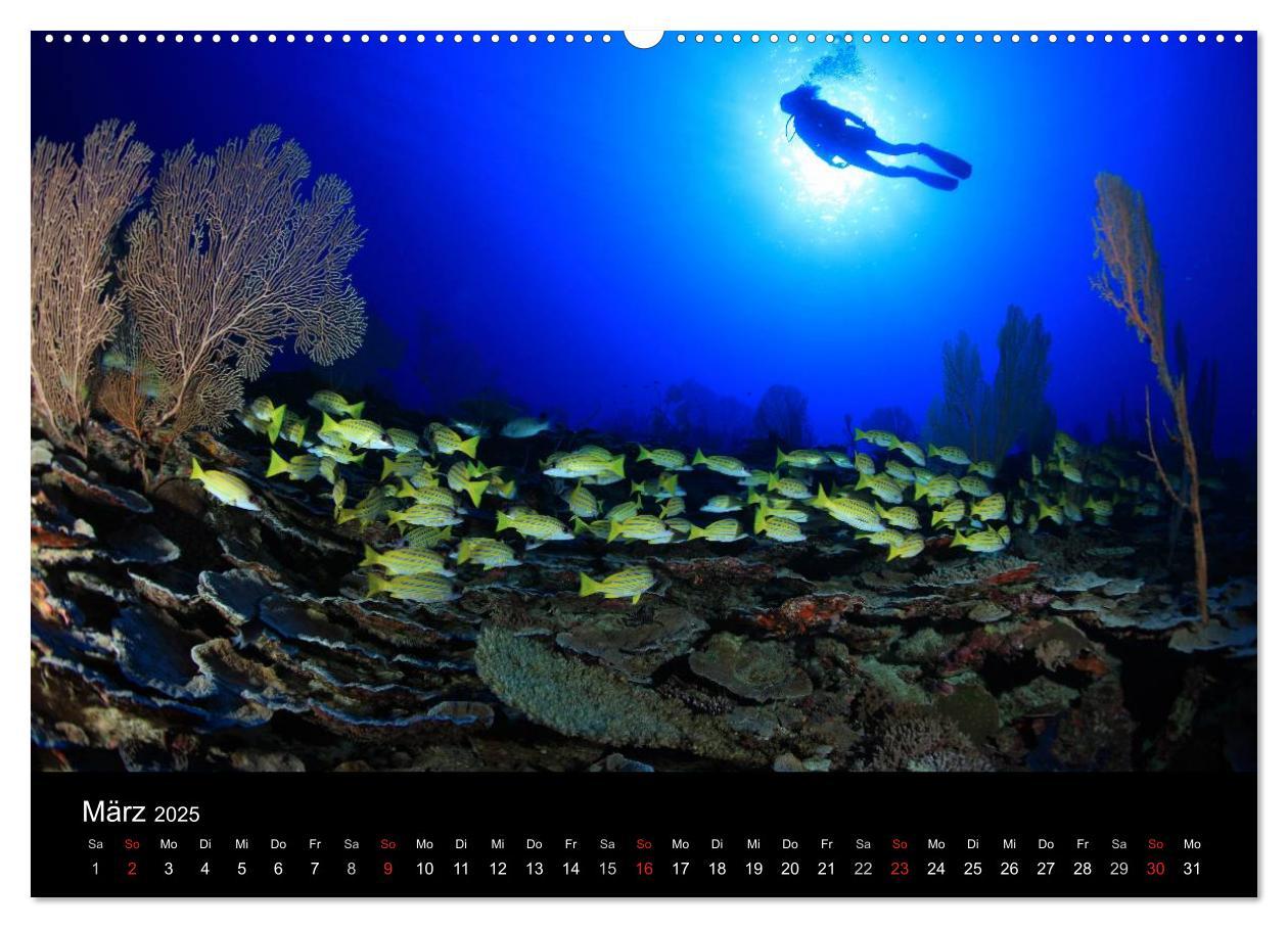 Bild: 9783435476008 | Magische Unterwasserwelten (hochwertiger Premium Wandkalender 2025...