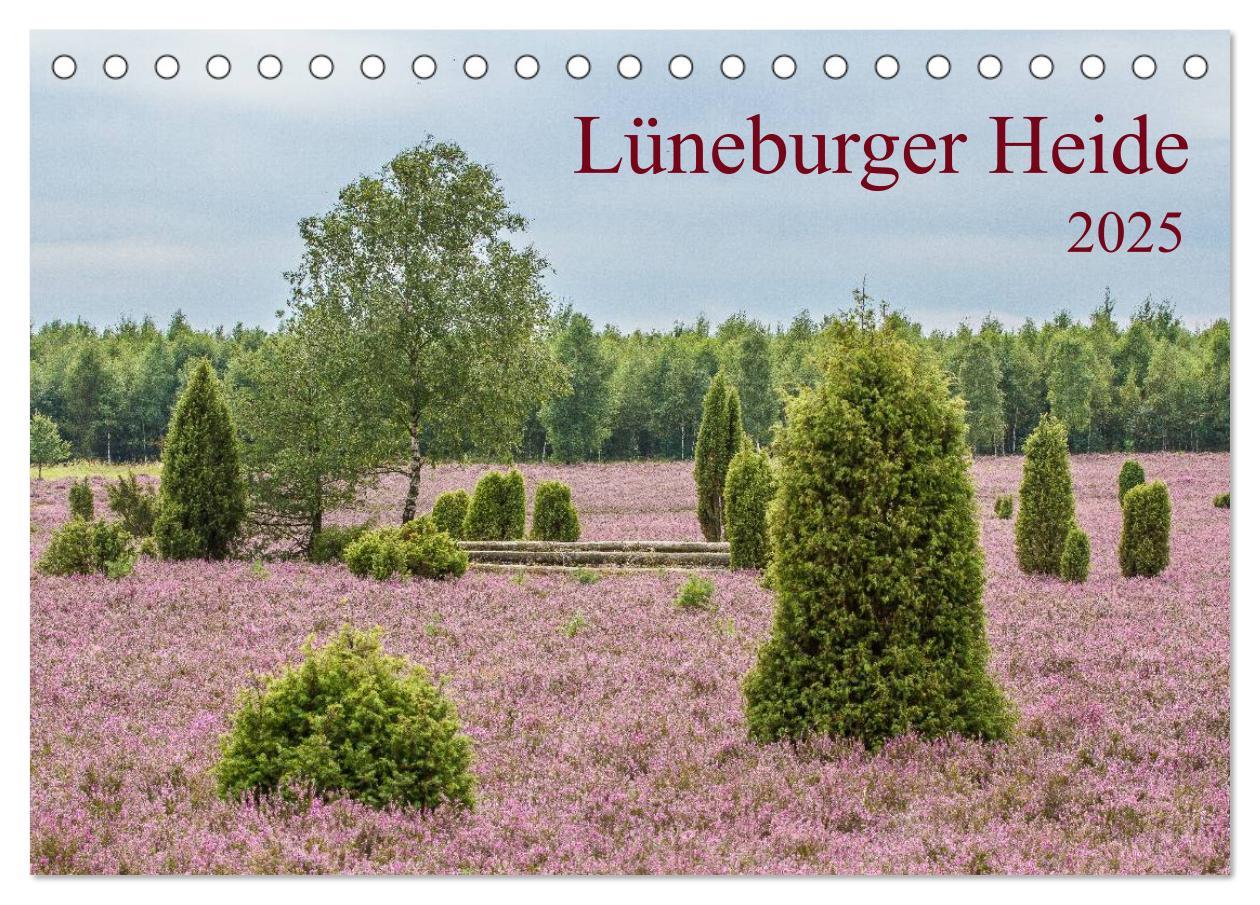 Cover: 9783435774555 | Lüneburger Heide (Tischkalender 2025 DIN A5 quer), CALVENDO...