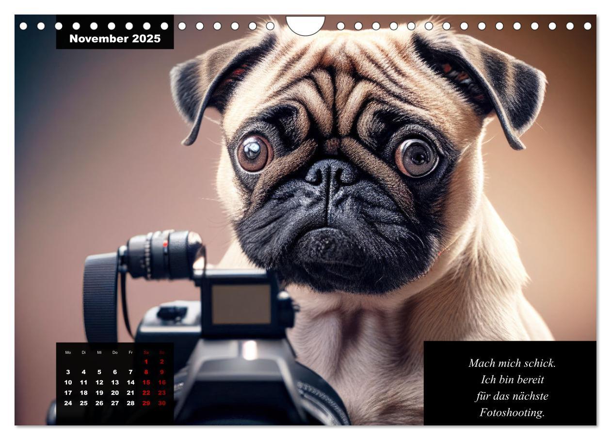 Bild: 9783383919053 | Der humoristische Mops-Kalender (Wandkalender 2025 DIN A4 quer),...