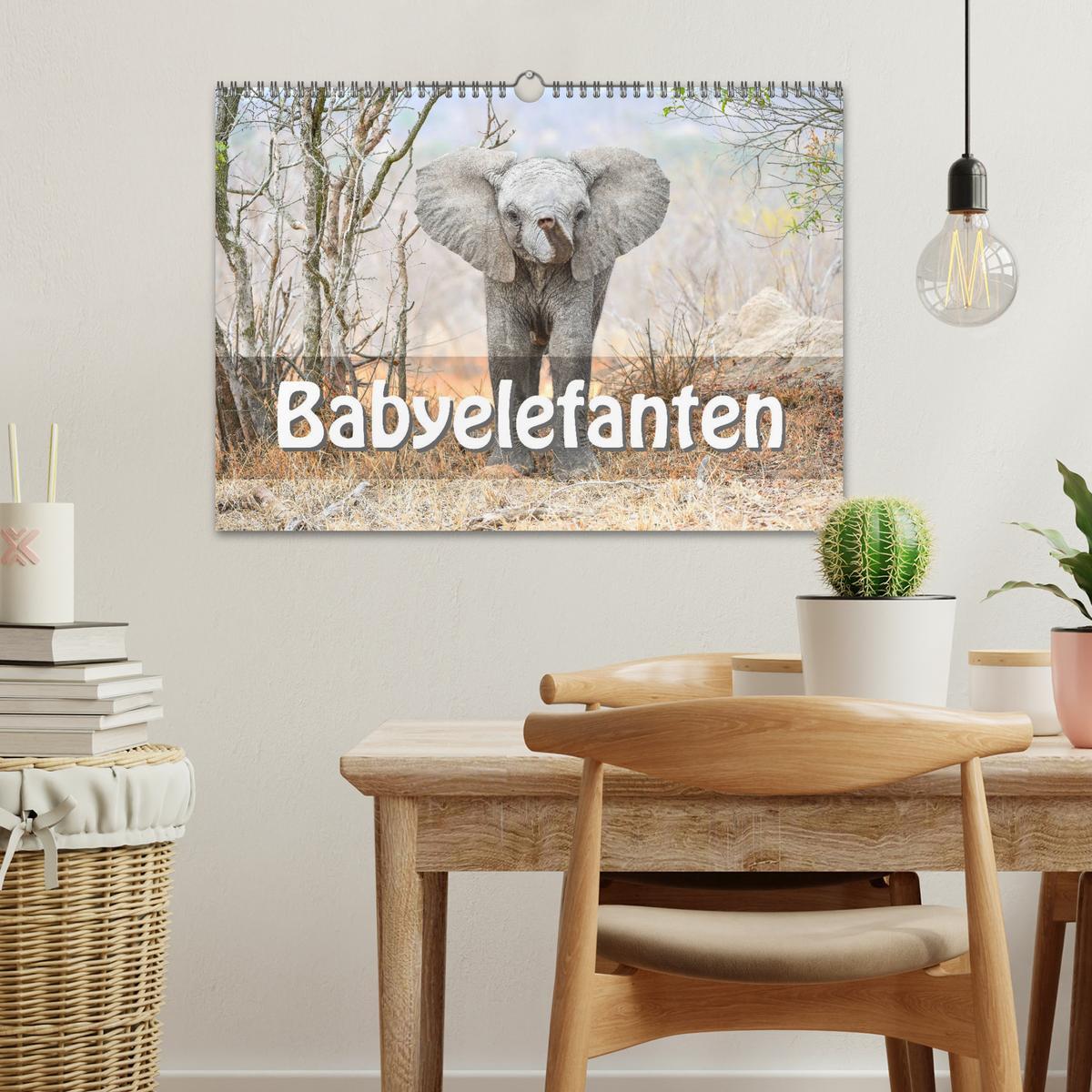 Bild: 9783435247523 | Babyelefanten (Wandkalender 2025 DIN A3 quer), CALVENDO Monatskalender