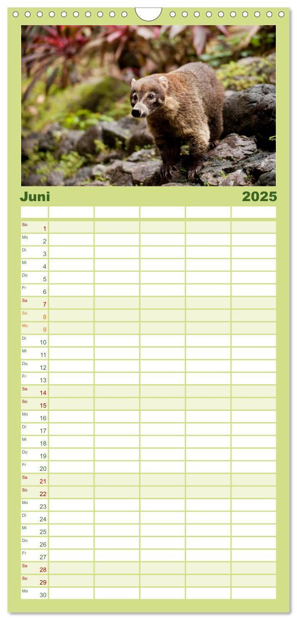 Bild: 9783457126639 | Familienplaner 2025 - Costa Rica mit 5 Spalten (Wandkalender, 21 x...