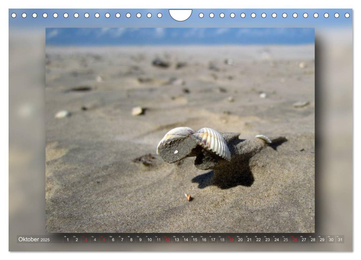 Bild: 9783435683611 | Baltrum - Ein Tag am Strand (Wandkalender 2025 DIN A4 quer),...