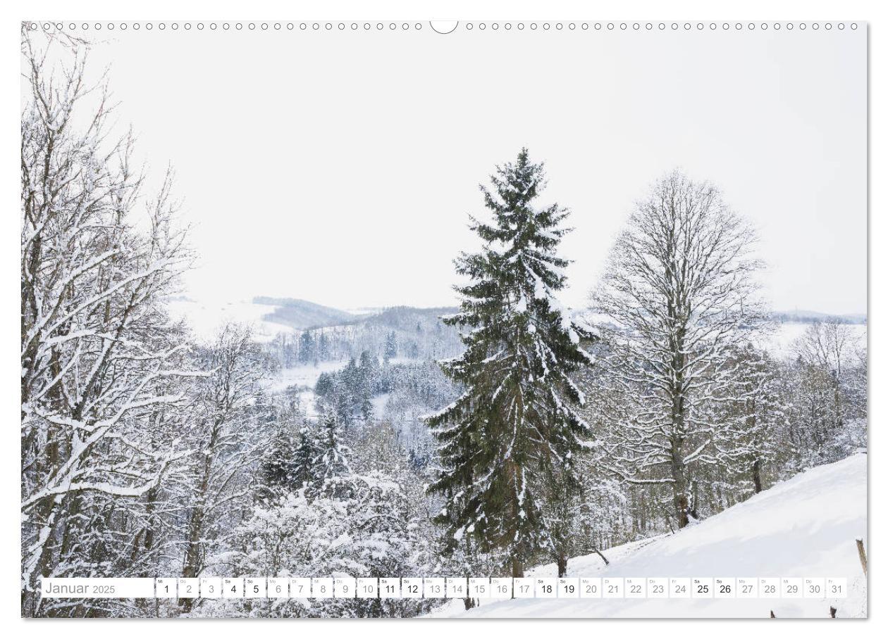 Bild: 9783435138821 | Eifel Sehnsucht (Wandkalender 2025 DIN A2 quer), CALVENDO...