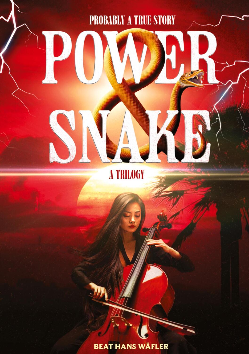 Cover: 9783384049421 | POWER ¿ SNAKE | Probably a True Story | Beat Hans Wäfler | Buch | 2024