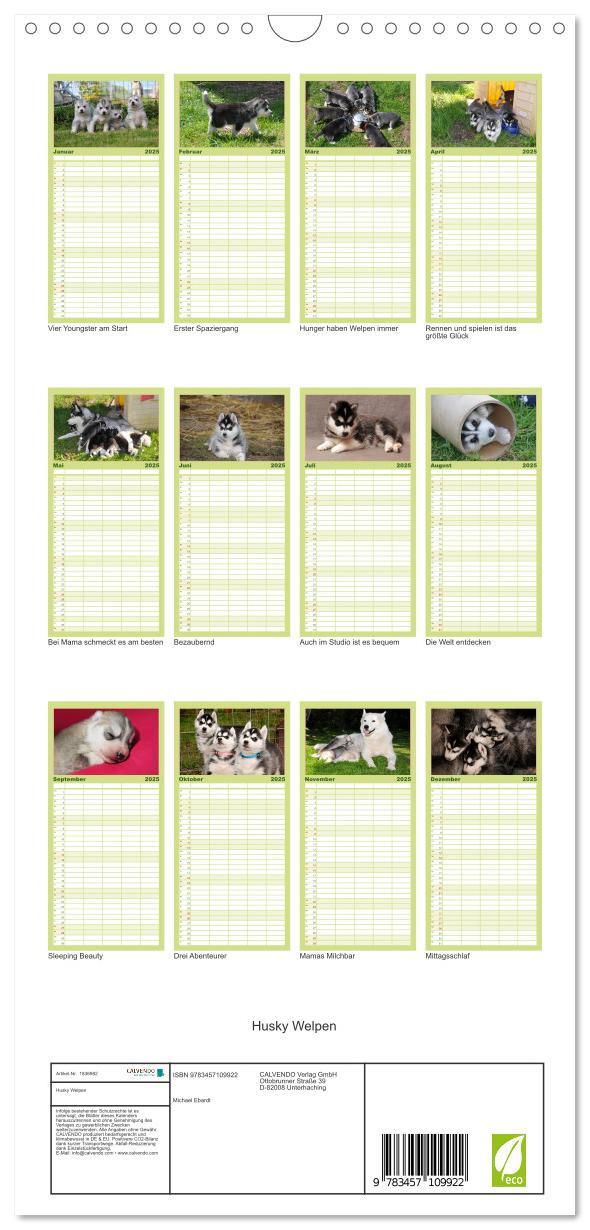 Bild: 9783457109922 | Familienplaner 2025 - Husky Welpen mit 5 Spalten (Wandkalender, 21...