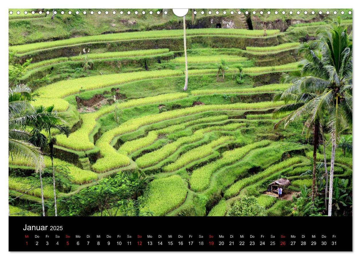 Bild: 9783435836109 | Bali (Wandkalender 2025 DIN A3 quer), CALVENDO Monatskalender | 2025