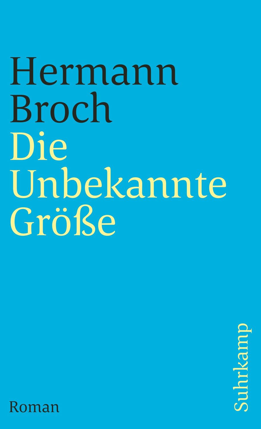 Cover: 9783518388648 | Die Unbekannte Größe | Band 2: Die Unbekannte Größe. Roman | Broch