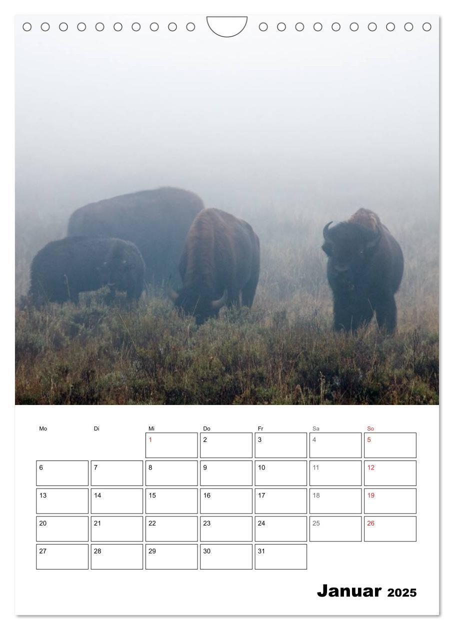 Bild: 9783457051634 | Yellowstone und Grand Tetons Nationalparks (Wandkalender 2025 DIN...