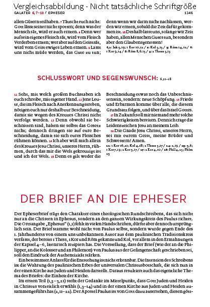 Bild: 9783460440135 | Die Bibel. Mit Sonderseiten für junge Menschen. | Agnes Wuckelt | Buch