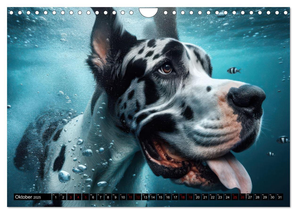 Bild: 9783457150429 | Badespaß - Hunde unter Wasser (Wandkalender 2025 DIN A4 quer),...