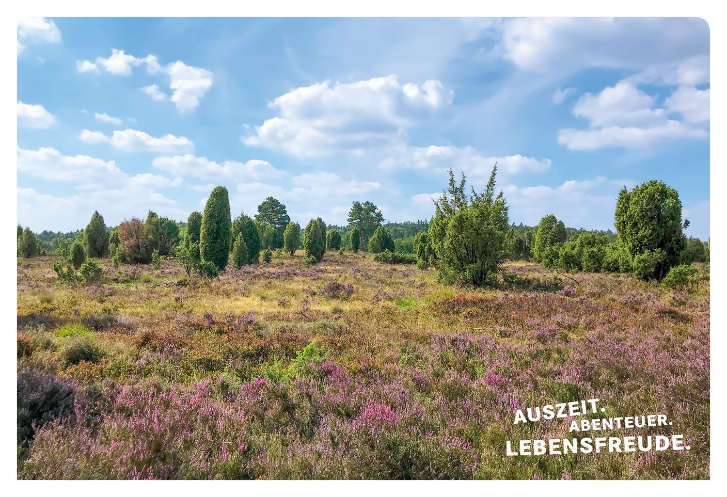 Bild: 9783770180936 | 52 kleine & große Eskapaden in der Lüneburger Heide | Ab nach draußen!