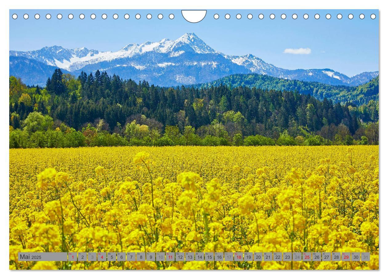 Bild: 9783435443611 | Kärnten (Wandkalender 2025 DIN A4 quer), CALVENDO Monatskalender