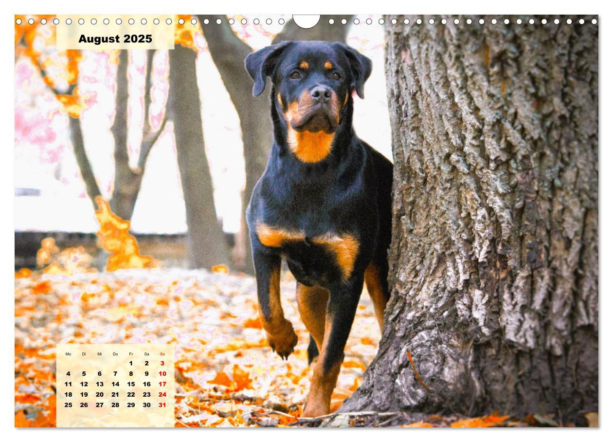 Bild: 9783383948138 | Mein Rottweiler. Nervenstarker Gebrauchs- und Begleithund...