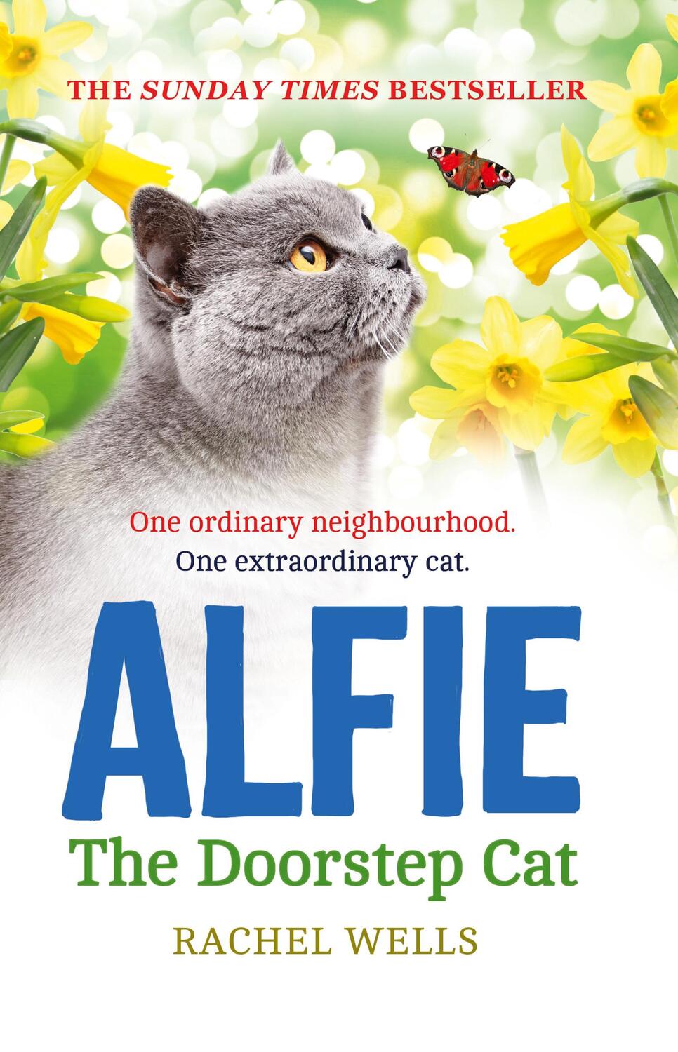 Cover: 9780008133153 | Alfie the Doorstep Cat | Rachel Wells | Taschenbuch | 311 S. | 2015