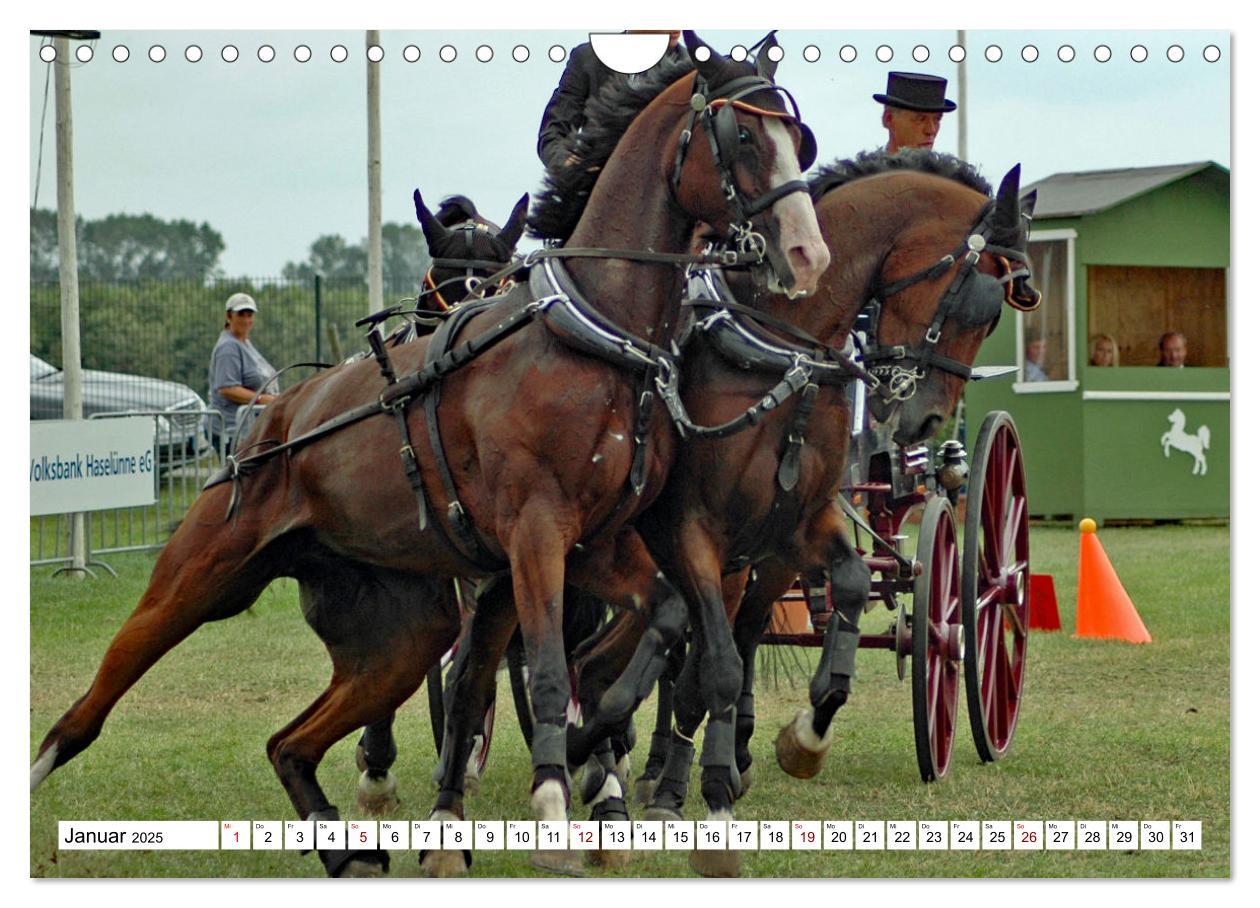 Bild: 9783383964855 | Vierspänner Herausforderung Fahrsport (Wandkalender 2025 DIN A4...