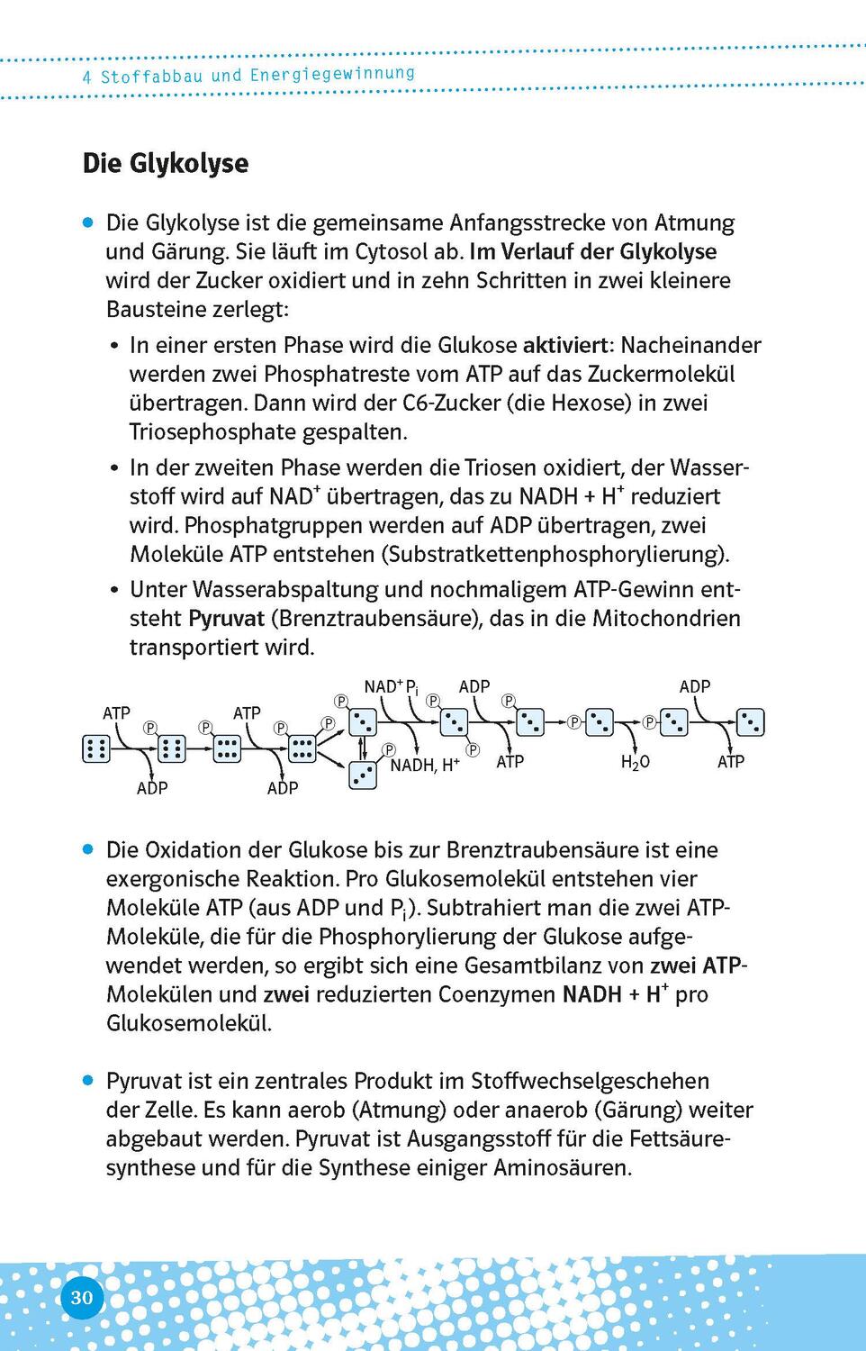 Bild: 9783129497104 | Abi last minute Biologie | Taschenbuch | Deutsch | 2022