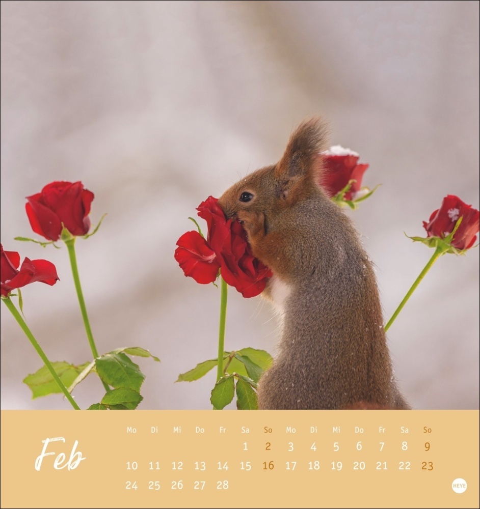 Bild: 9783756407071 | Eichhörnchen Postkartenkalender 2025 | Kalender | Spiralbindung | 2025