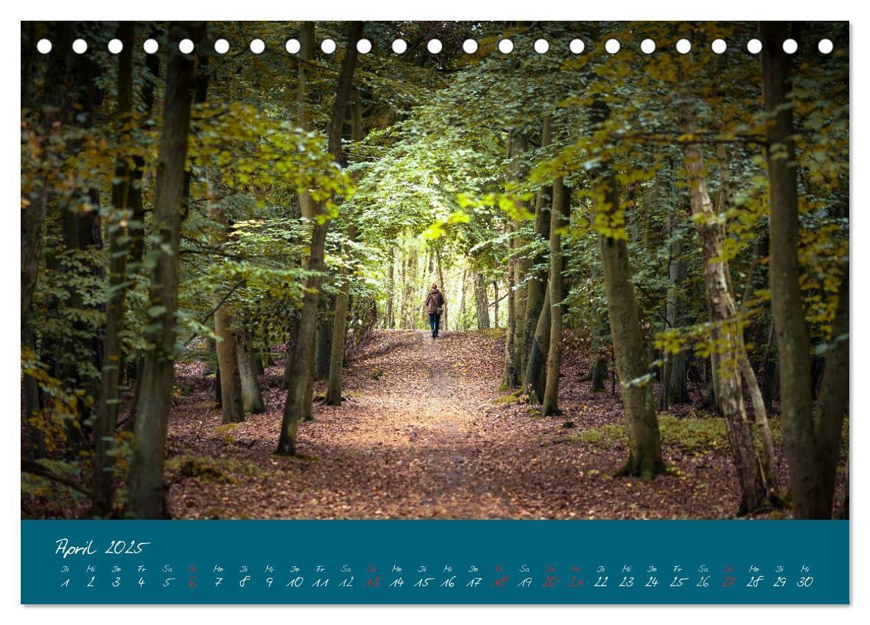 Bild: 9783435649167 | Blick auf die Halbinsel Fischland, Darß und Zingst (Tischkalender...