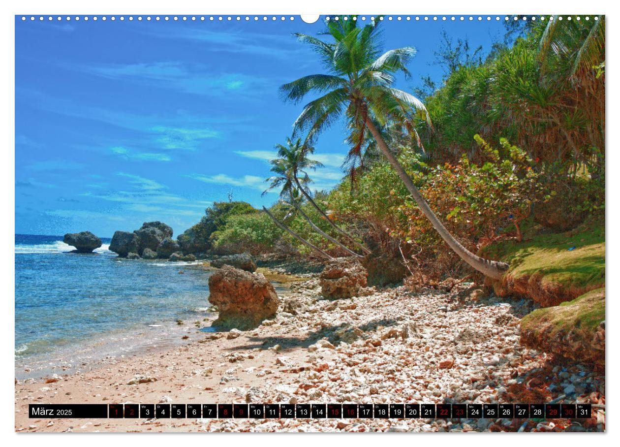 Bild: 9783435453788 | Barbados (Wandkalender 2025 DIN A2 quer), CALVENDO Monatskalender